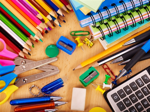 MATERIALE DIDATTICO SCUOLA PRIMARIA N.Salerni Lombriasco
